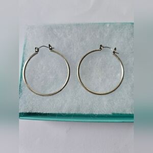 Elegant Silver Hoop Earrings